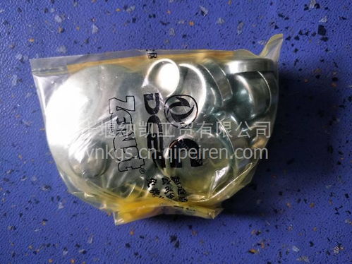 客车公交车东风天龙全车水堵配件指南 11b031-c价格、图片与厂家解析