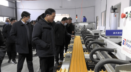 淅川县举行汽车配件产业重点工作观摩活动